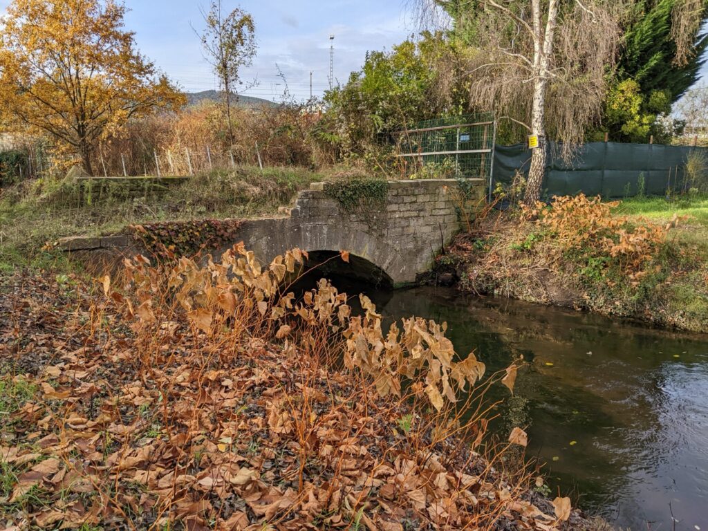 Bundesgartenschau in Neustadt an der Weinstraße (LGS 2027): Der Beginn - November 2024