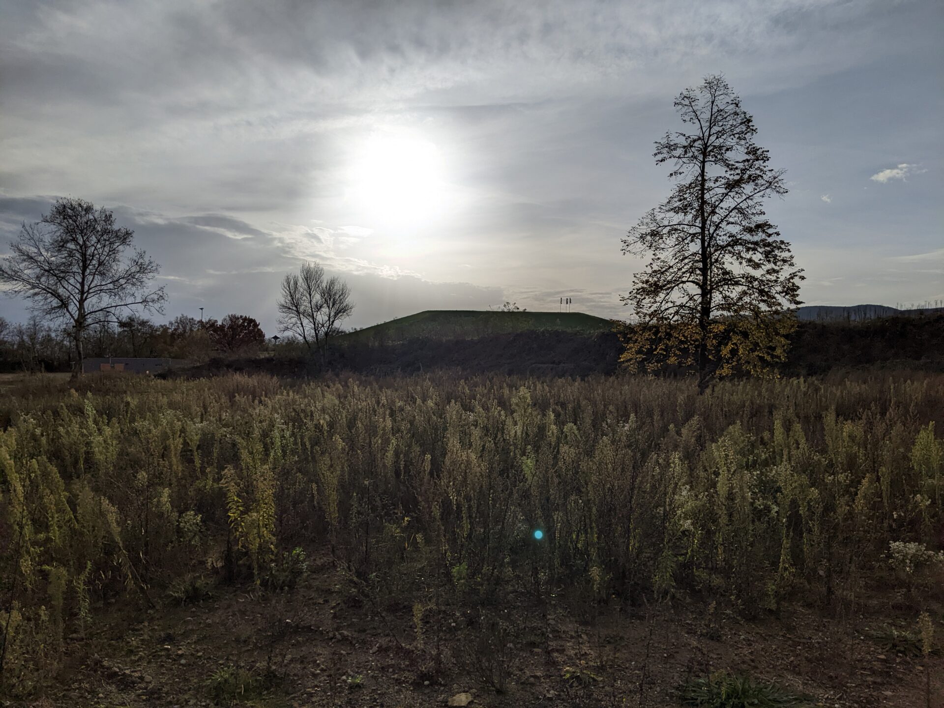 Bundesgartenschau in Neustadt an der Weinstraße (LGS 2027): Der Beginn - November 2024